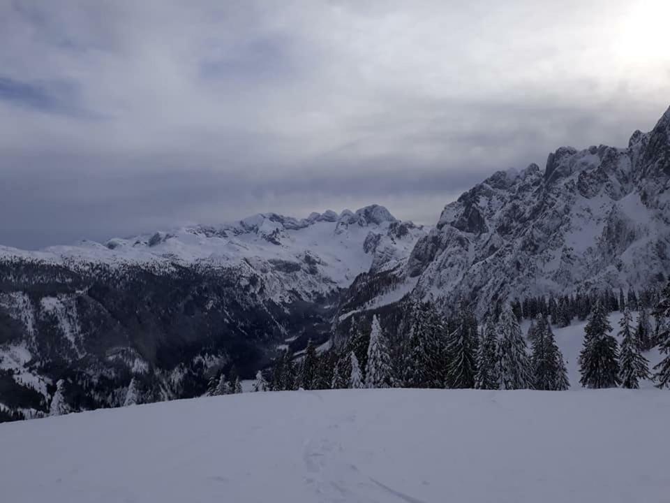 גוסאו Dachstein View Ski Apartment מראה חיצוני תמונה