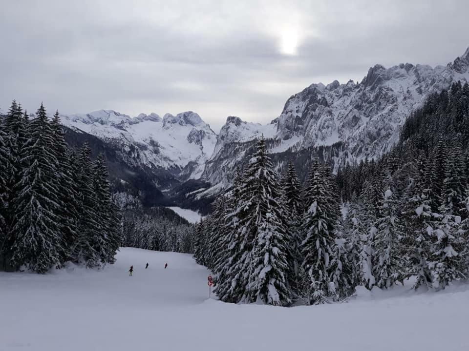 גוסאו Dachstein View Ski Apartment מראה חיצוני תמונה