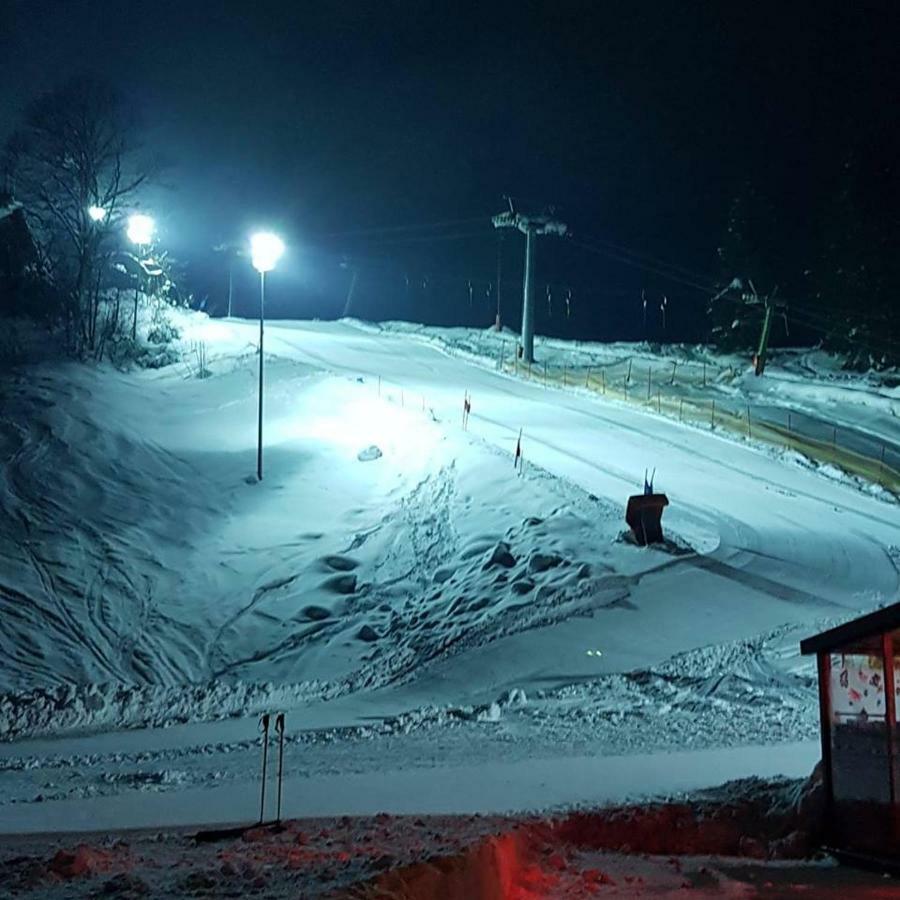 גוסאו Dachstein View Ski Apartment מראה חיצוני תמונה