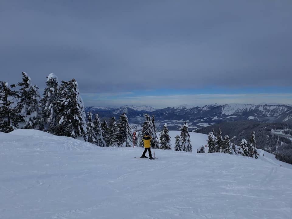 גוסאו Dachstein View Ski Apartment מראה חיצוני תמונה