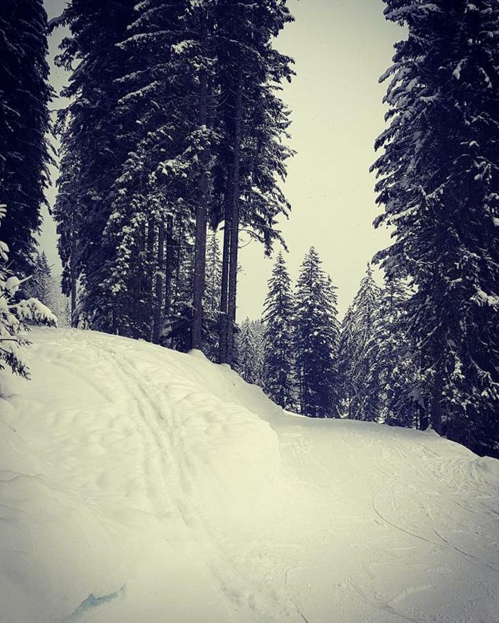 גוסאו Dachstein View Ski Apartment מראה חיצוני תמונה